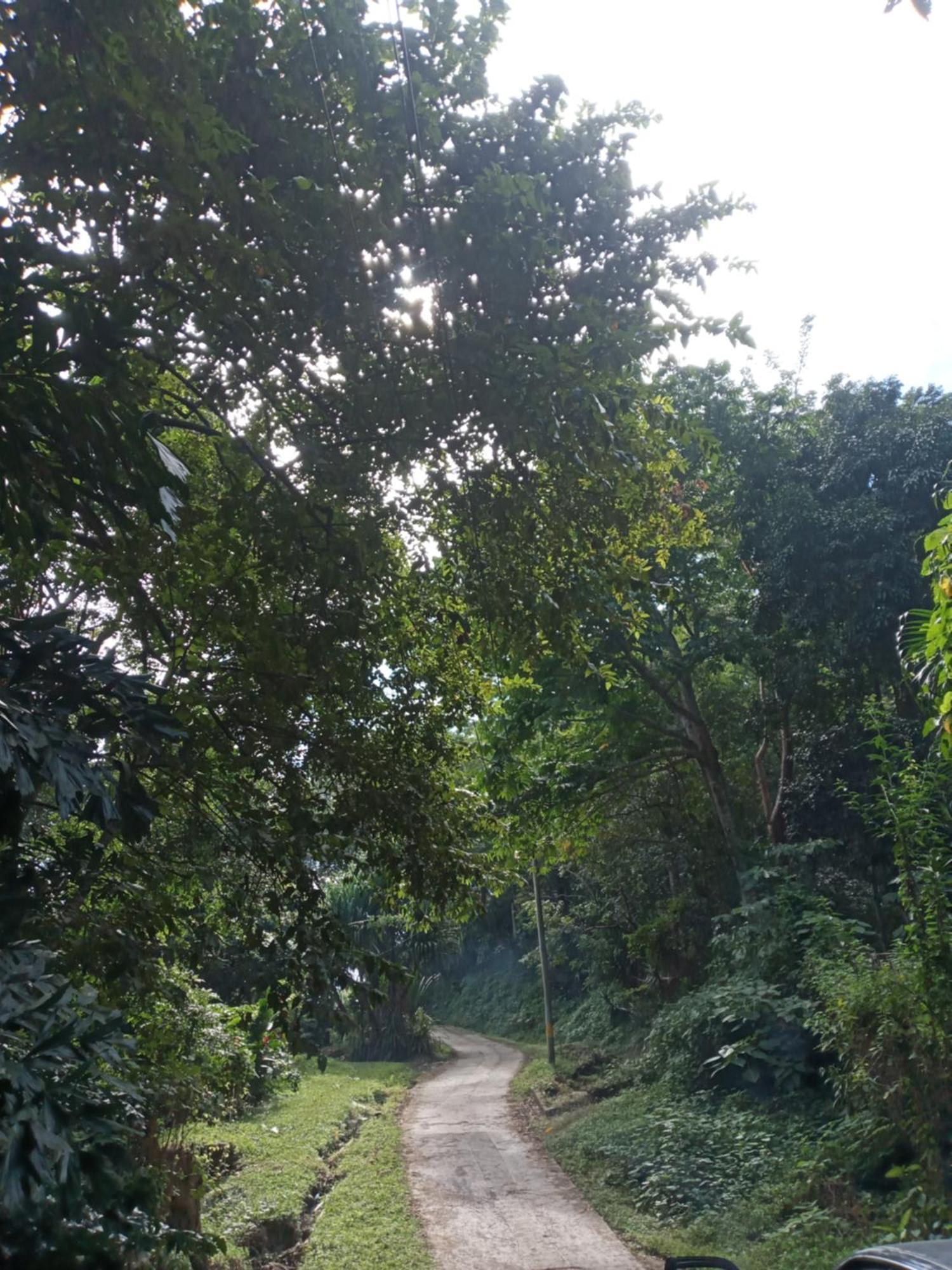 Hostal Juan Lindo 圣佩德罗苏拉 外观 照片