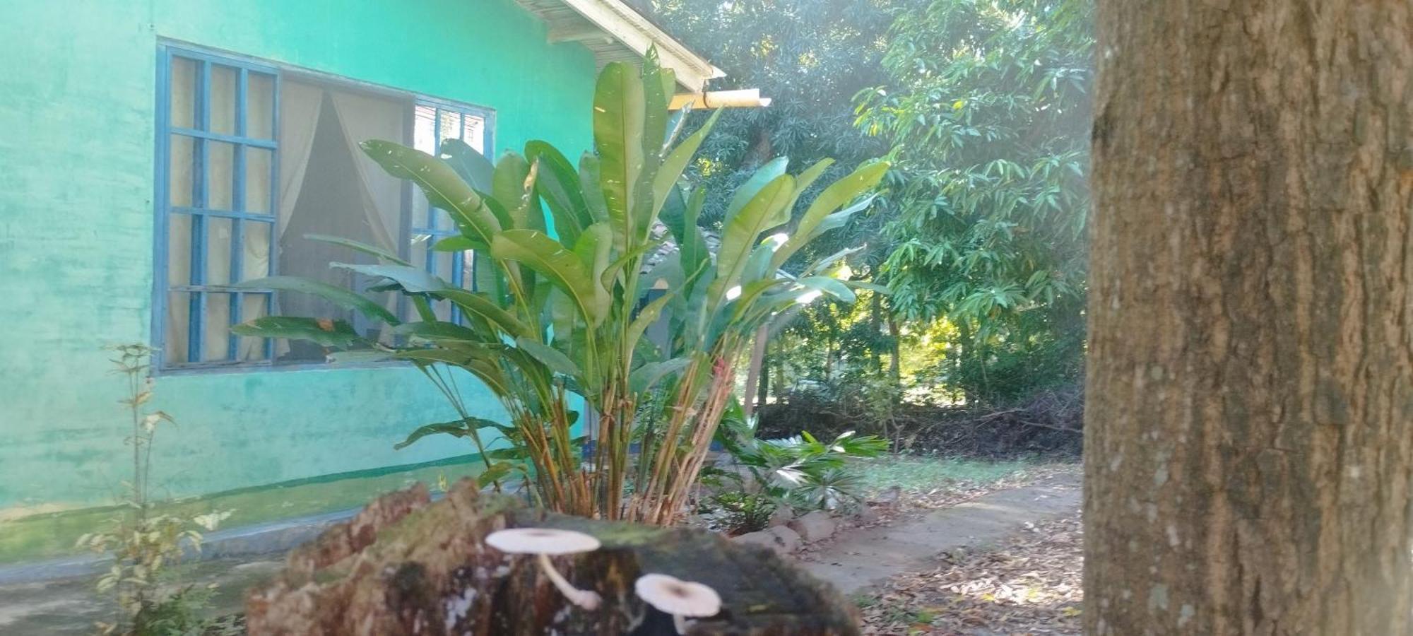 Hostal Juan Lindo 圣佩德罗苏拉 外观 照片